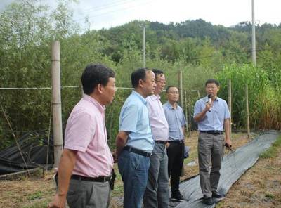 青年风采录 | 郭彬 赤诚守护大地，让每一寸耕地安全绽放